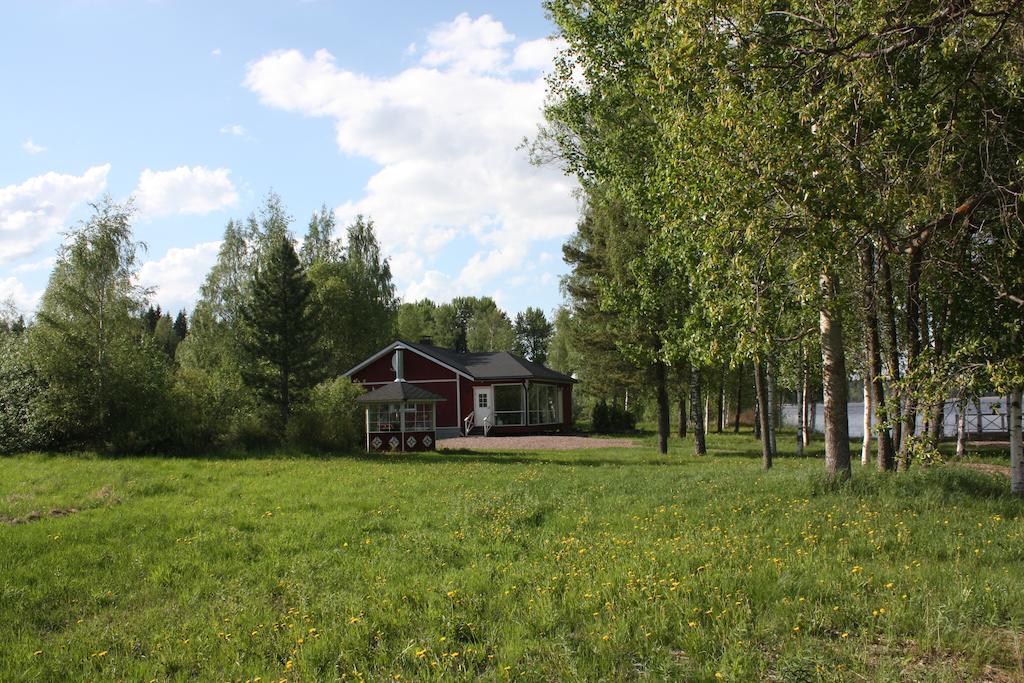 Cottage Baydar Jyraankoski Exteriér fotografie